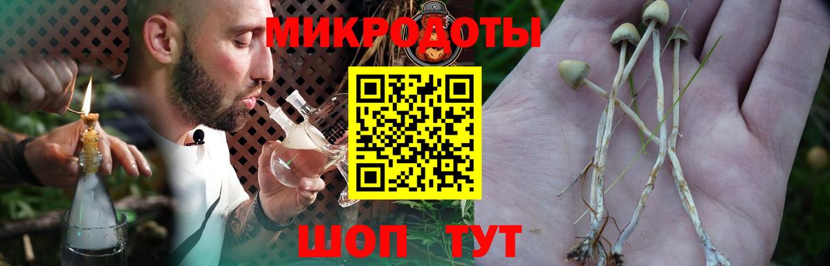 Псилоцибиновые грибы прущие грибы  где продают наркотики  Вход с VPN  Октябрьский  Псилоцибиновые грибы мицелий 